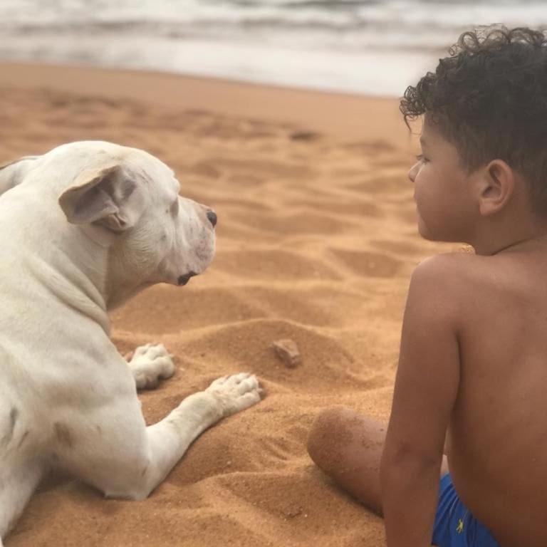 Chales Do Pedro Hospedagem E Restaurante Villa Praia de Araçatiba Eksteriør bilde