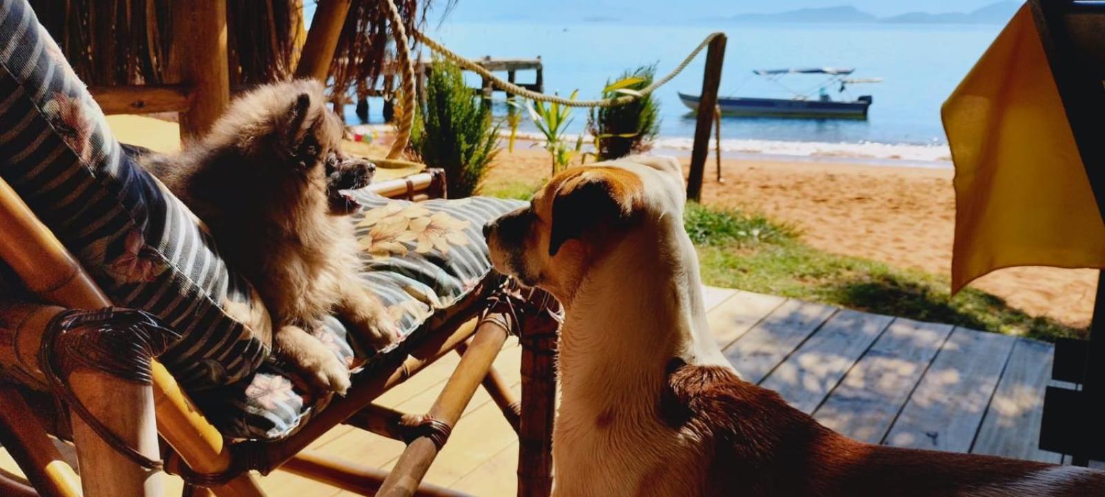 Chales Do Pedro Hospedagem E Restaurante Villa Praia de Araçatiba Eksteriør bilde